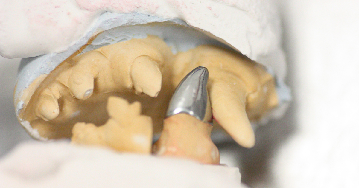 Ортопедия в ветеринарной стоматологии 