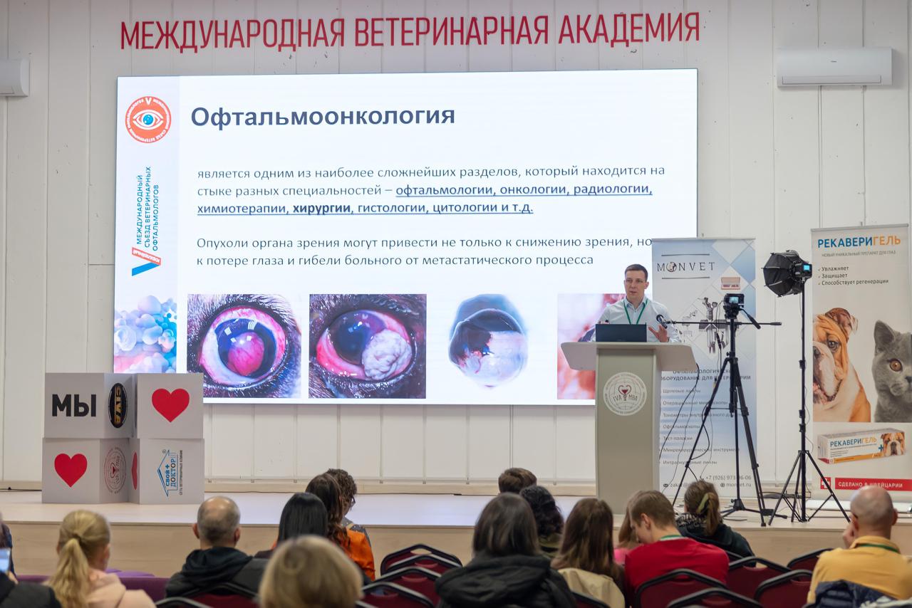 проблема онкологических заболеваний глаз у животных