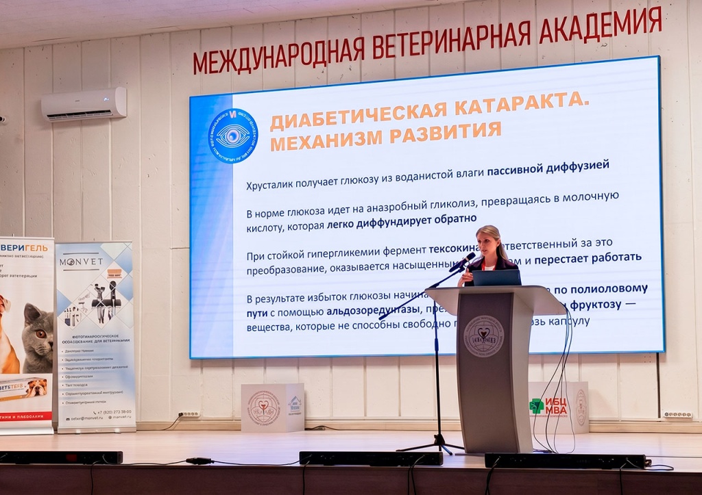 ИВЦ МВА на 6-м съезде ветеринарных офтальмологов