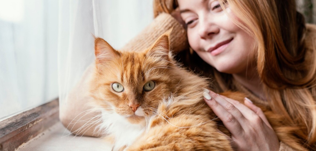 Кошка после прививки: уход за питомцем и ограничения