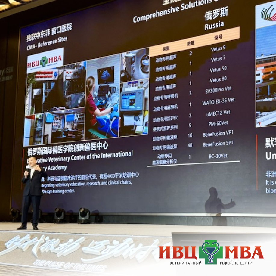 ИВЦ МВА на "MindVet Academy 2026 Summit" в Китае
