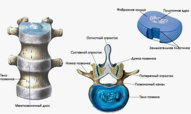 Болезнь межпозвонкового диска