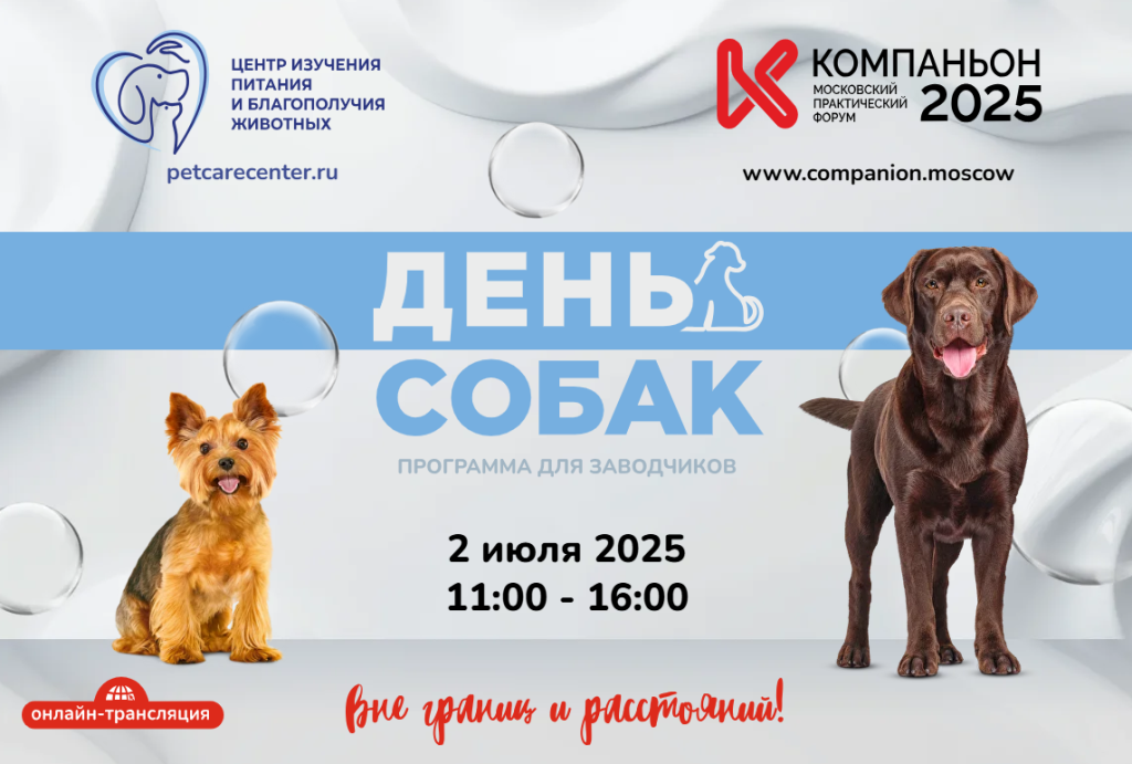 «День собак. Программа для заводчиков» «День собак. Программа для заводчиков»